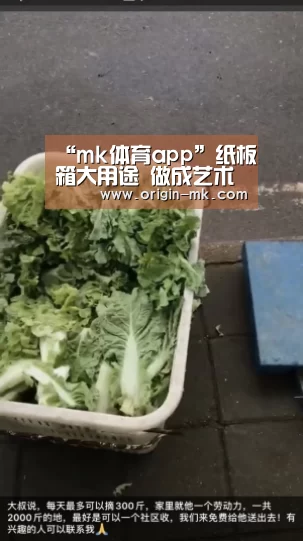 “mk体育app”纸板箱大用途 做成艺术灯具倾倒众生(图1) mk体育入口