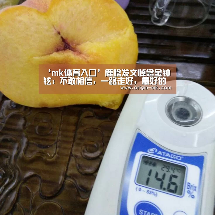 ‘mk体育入口’鹿晗发文悼念金钟铉:不敢相信,一路走好,最好的主唱(图3) mk体育注册