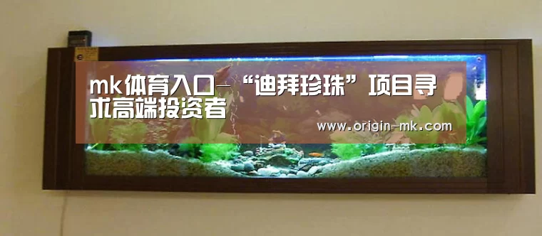 mk体育入口-“迪拜珍珠”项目寻求高端投资者(图2) mk体育app