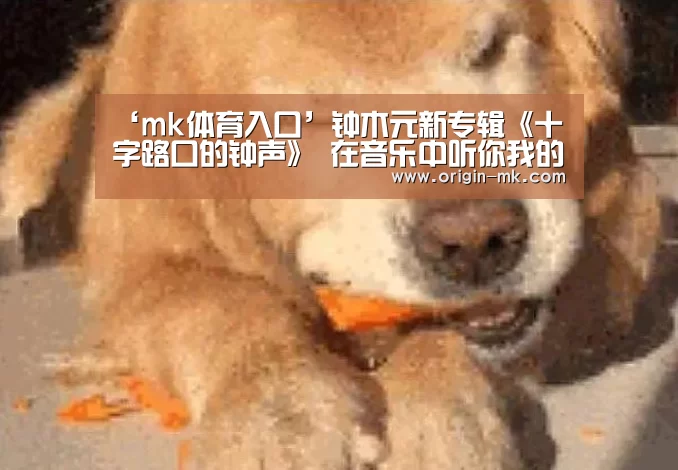 ‘mk体育入口’钟木元新专辑《十字路口的钟声》 在音乐中听你我的故事(图1) mk体育下载