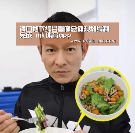 海口地下综合管廊总体规划编制完成_mk体育app