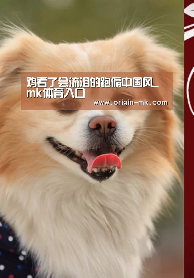 鸡看了会流泪的跑偏中国风_mk体育入口